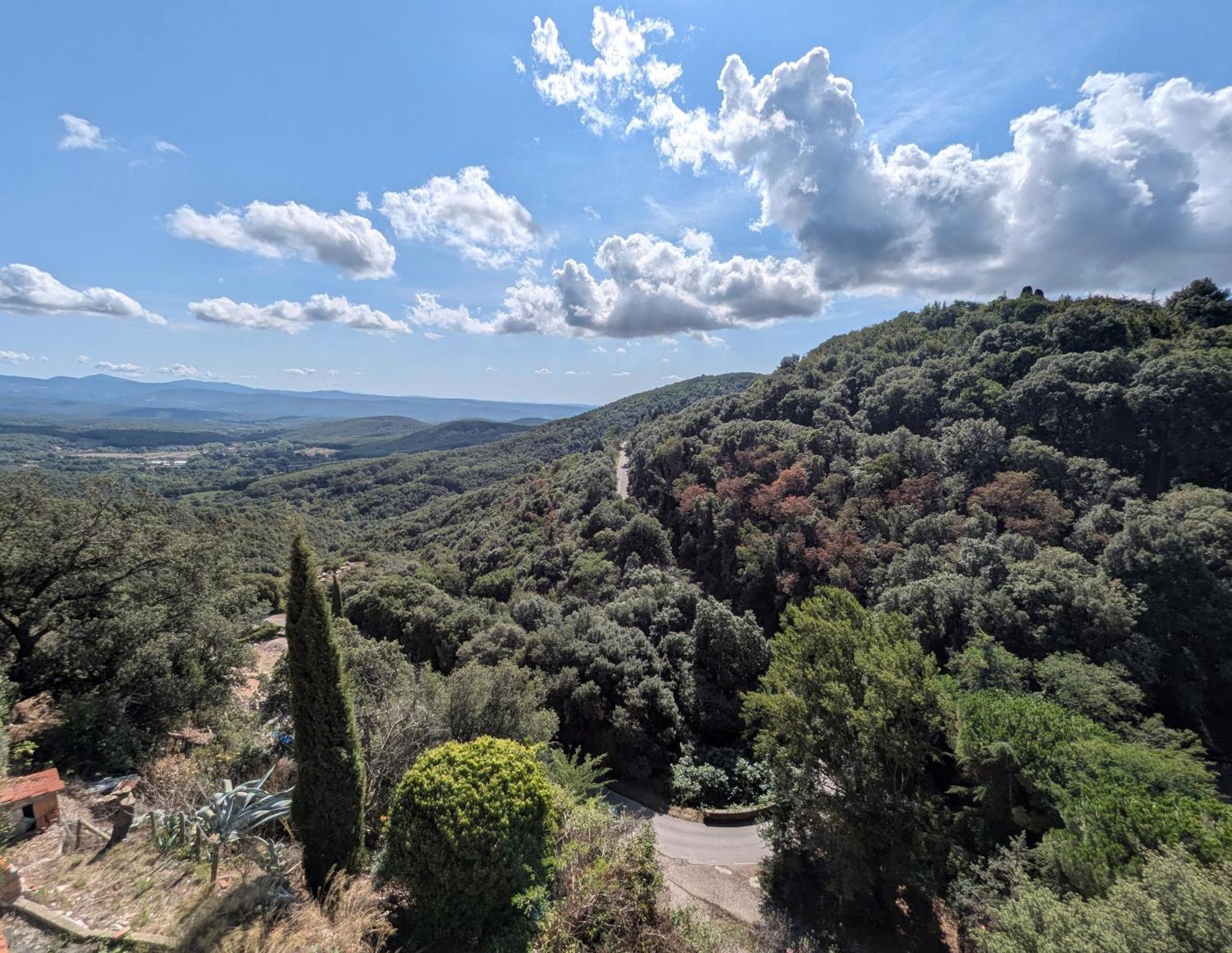 ホテル Il Palazzo, Le Fornaci サッセッタ エクステリア 写真